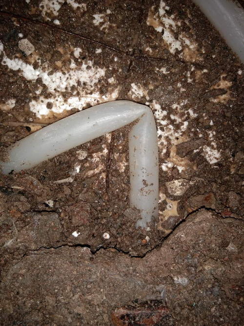 西平堵点精准查找